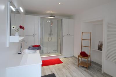 Enlarge image, modal window