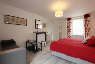 Enlarge image, modal window