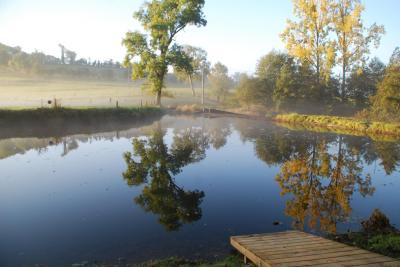 Enlarge image, modal window