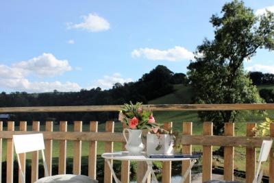 Enlarge image, modal window