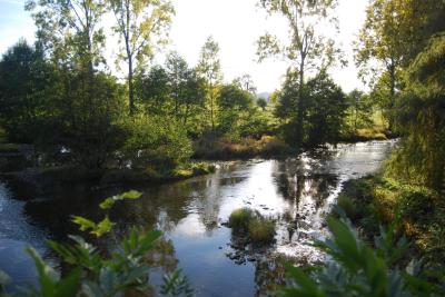 Enlarge image, modal window