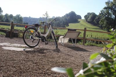 Enlarge image, modal window