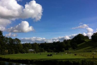 Enlarge image, modal window