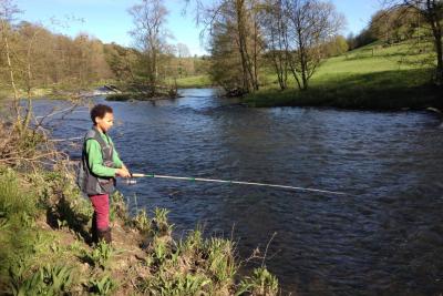 Enlarge image, modal window