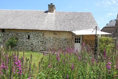 Enlarge image, modal window