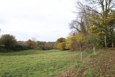 Enlarge image, modal window