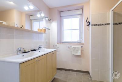 Enlarge image, modal window