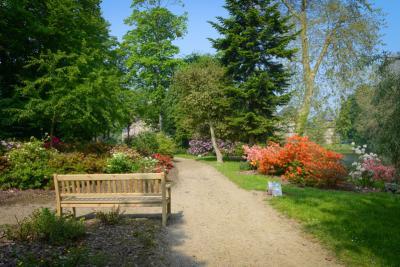 Enlarge image, modal window