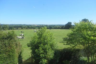 Enlarge image, modal window