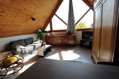 Enlarge image, modal window