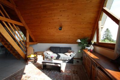 Enlarge image, modal window