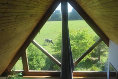 Enlarge image, modal window