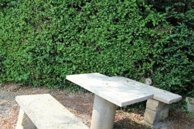 Enlarge image, modal window