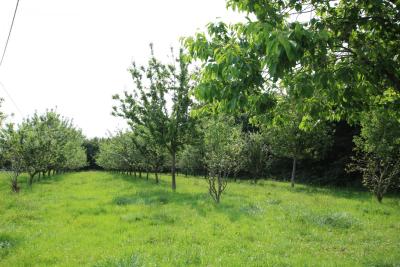 Enlarge image, modal window