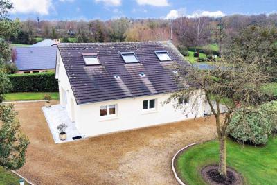 Enlarge image, modal window