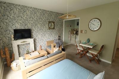 Enlarge image, modal window