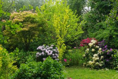 Enlarge image, modal window