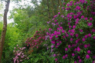 Enlarge image, modal window