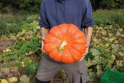 Enlarge image, modal window