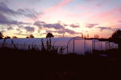 Enlarge image, modal window