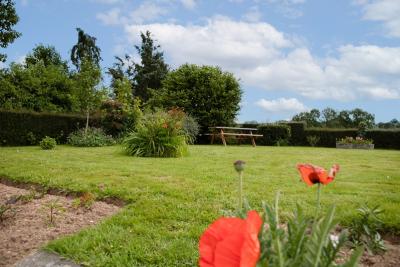 Enlarge image, modal window