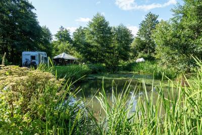 Enlarge image, modal window