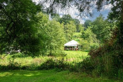 Enlarge image, modal window