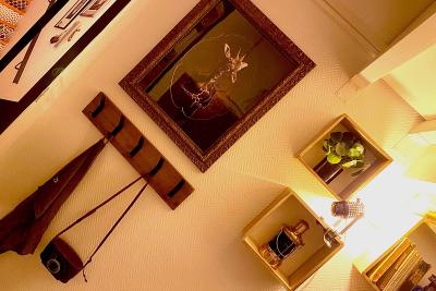 Enlarge image, modal window