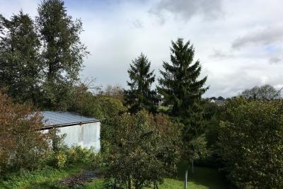 Enlarge image, modal window