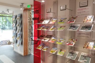 Enlarge image, modal window