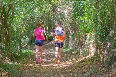 Enlarge image, modal window - Course à pied sur la destination