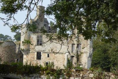 Enlarge image, modal window