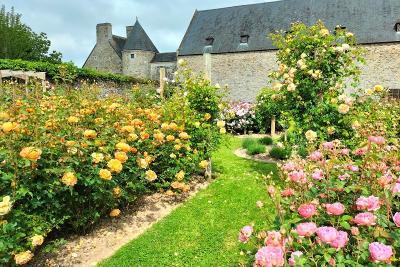 Enlarge image, modal window