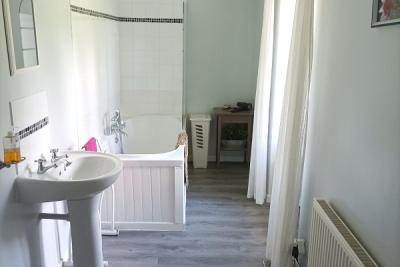 Enlarge image, modal window