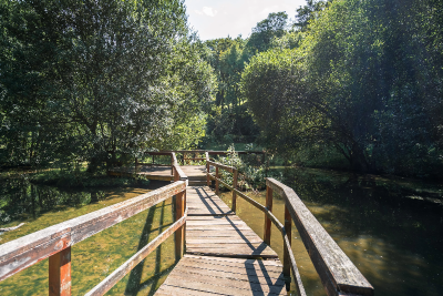 Enlarge image, modal window