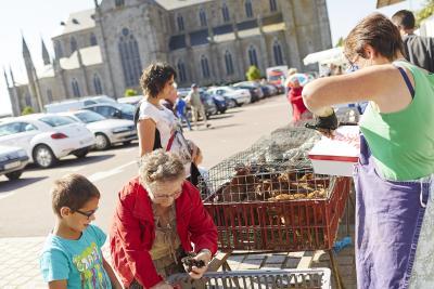 Enlarge image, modal window