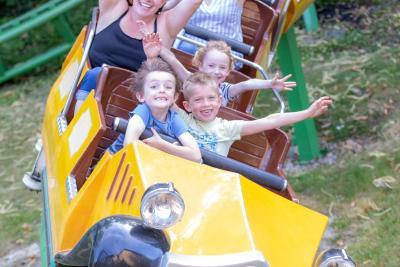 Enlarge image, modal window