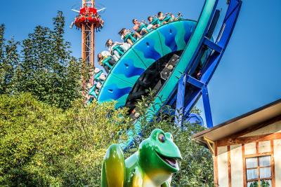 Enlarge image, modal window