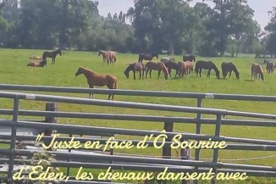 Enlarge image, modal window