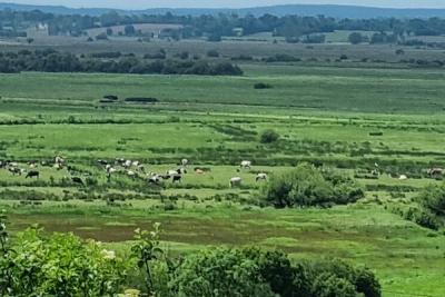 Enlarge image, modal window