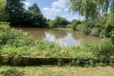 Enlarge image, modal window