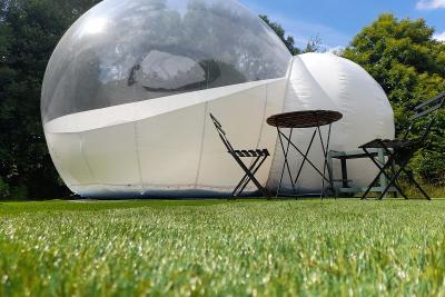 Enlarge image, modal window