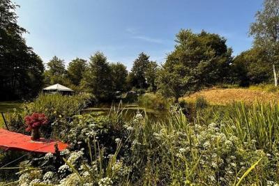 Enlarge image, modal window