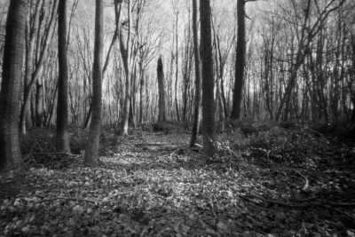 Enlarge image, modal window