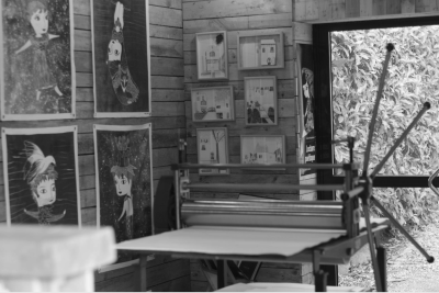 Enlarge image, modal window