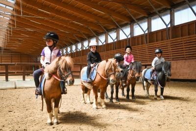 Enlarge image, modal window