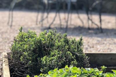 Enlarge image, modal window