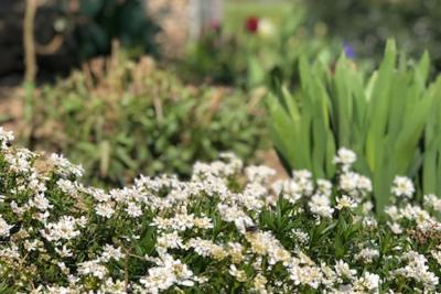 Enlarge image, modal window