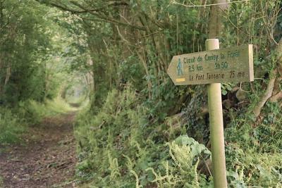 Enlarge image, modal window