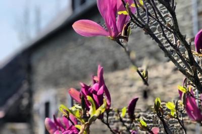 Enlarge image, modal window